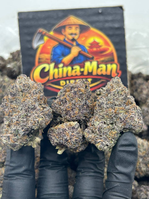 #N-CM1341 - Bubble Gum Pop (Hybrid)