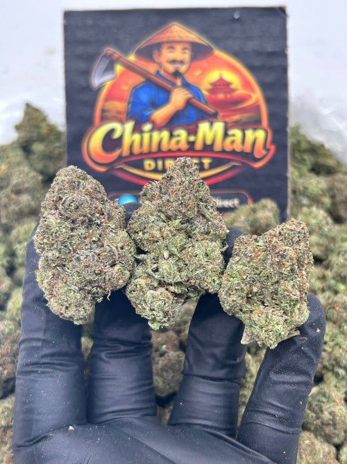 #N-EA861 - Tropical Gelato (Hybrid)