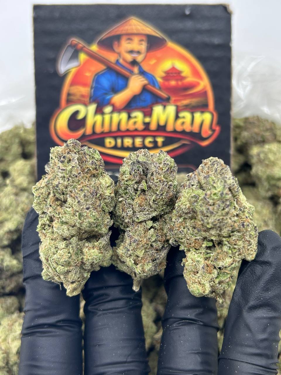 #N-EB302 - Blue Lobster (Hybrid)