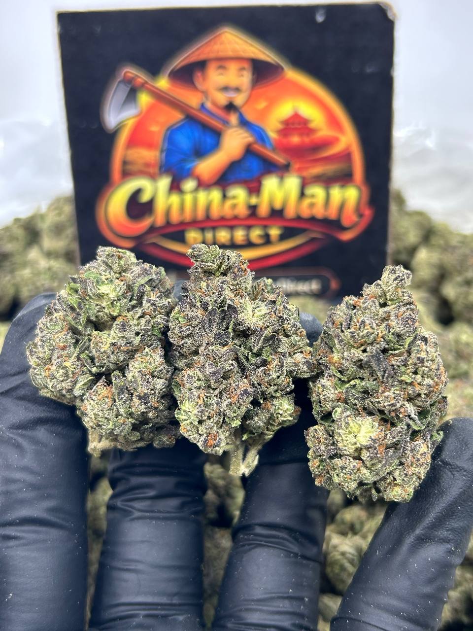 #N-EB303 - Rainbow Sherbet (Hybrid)
