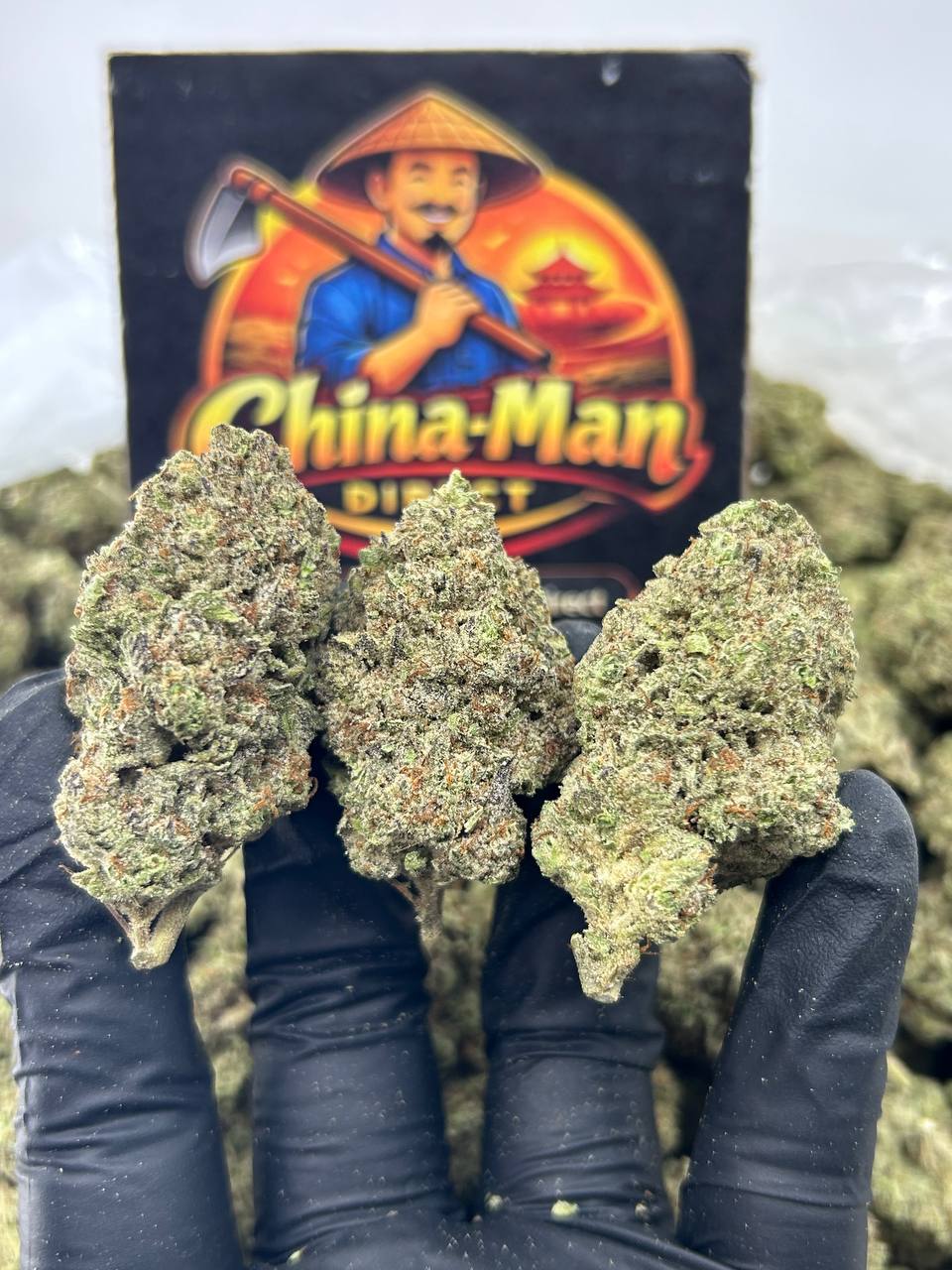 #N-EB304 - Zkittlez Splash (Hybrid)
