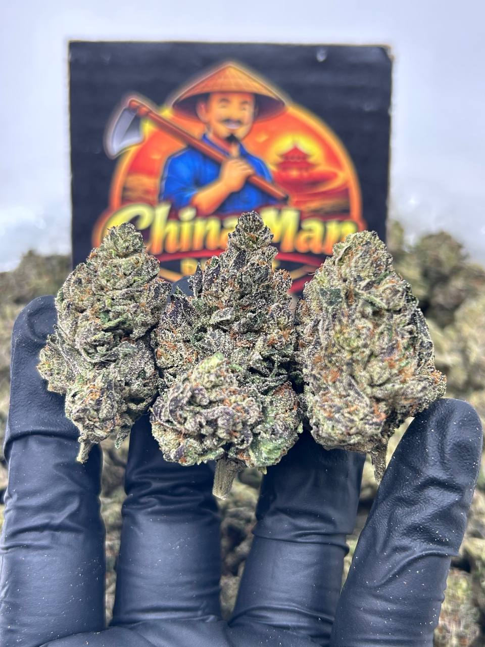 #N-EB305 - Grape Mamba (Hybrid)