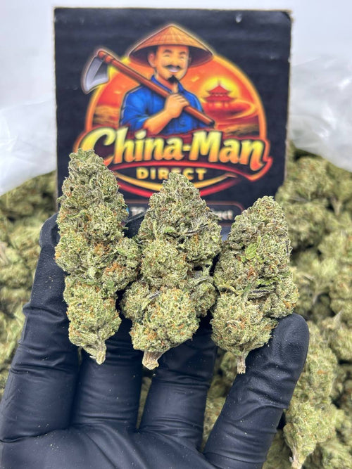 #N-EB306 - AMG Cookiez (Hybrid)