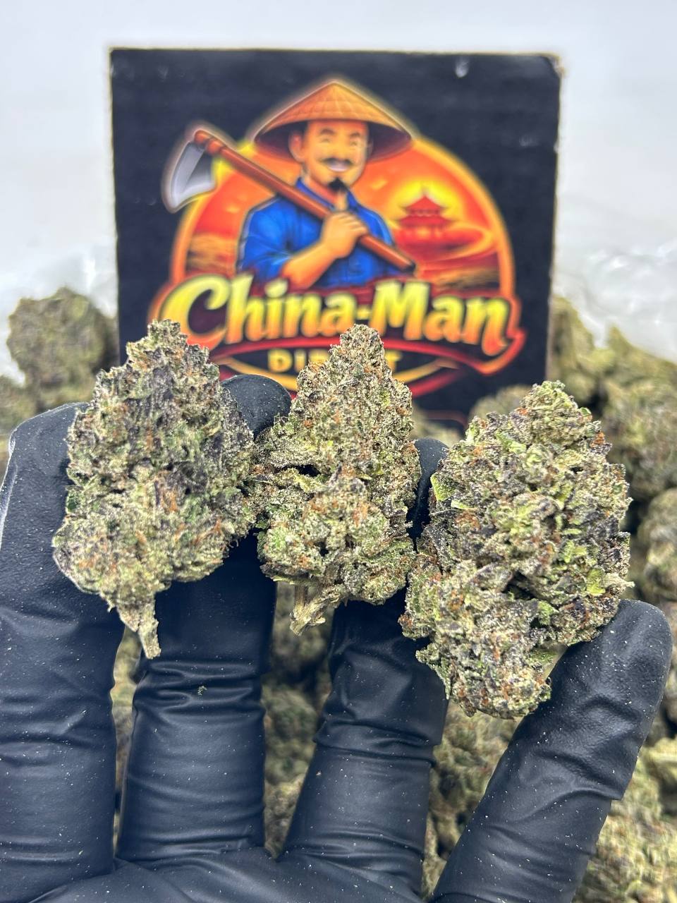 #N-EB307 - Lemon Sherbet (Hybrid)