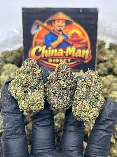 #N-EB308 - Grape Gumbo (Hybrid)