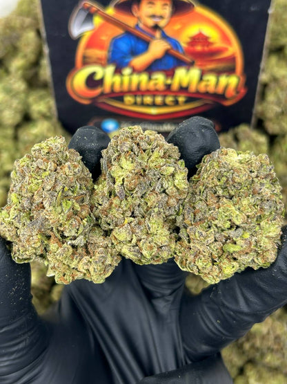 #N-EB309 - Lemon Loaf (Hybrid)