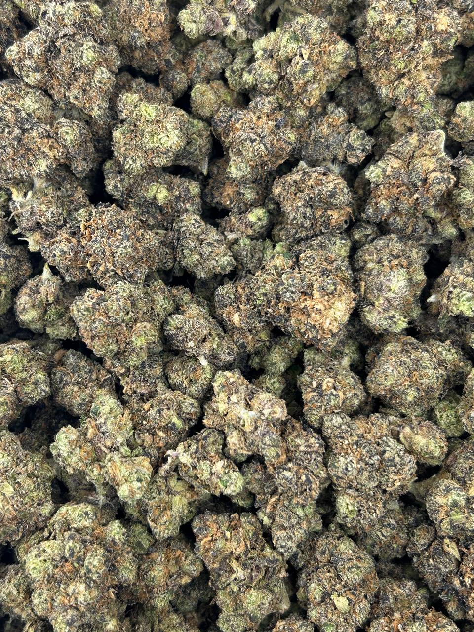 #B-EA004 - Lemonlatti (Hybrid)