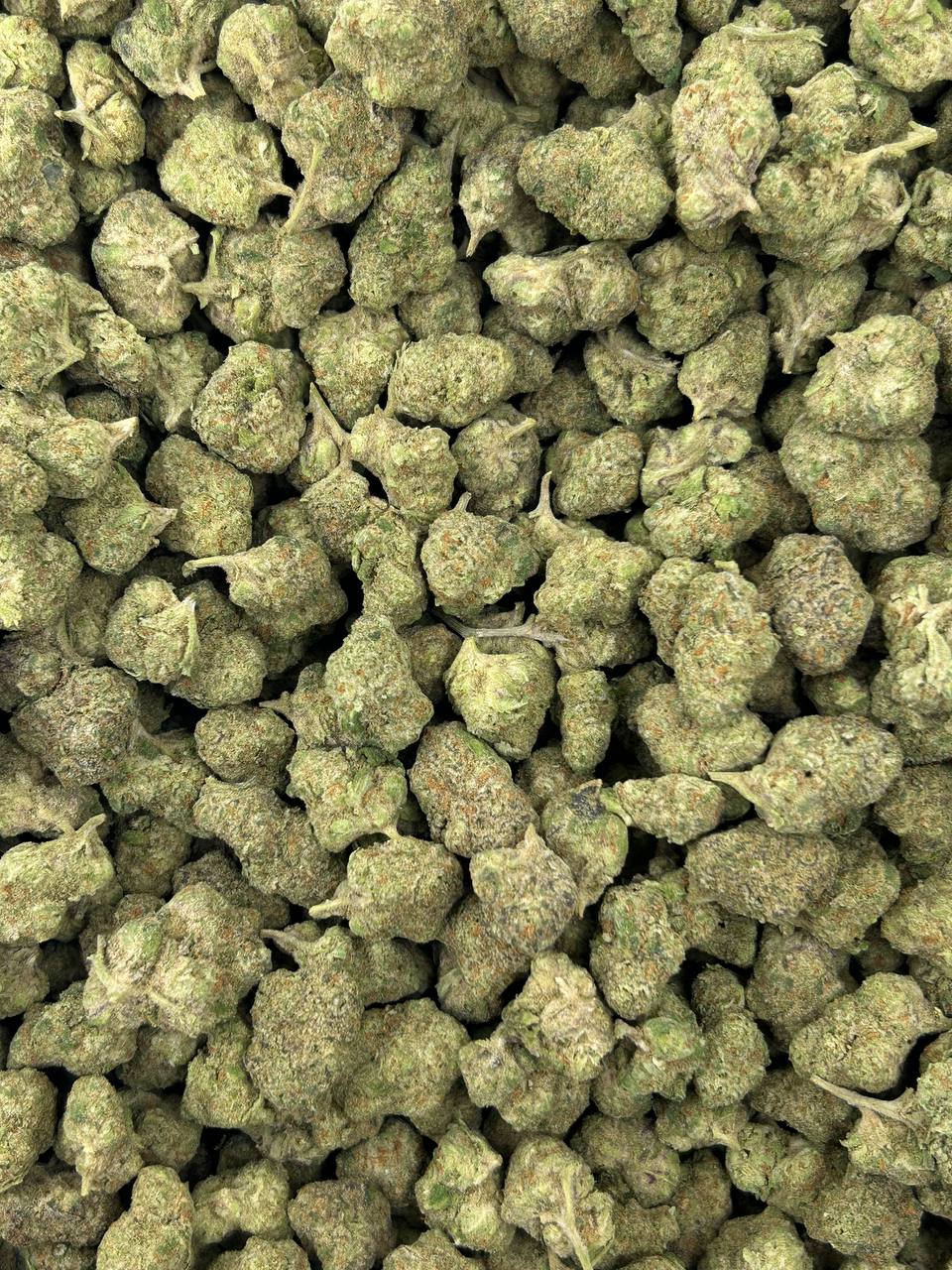 #B-ECS009 - Apple Pie SM (Hybrid)