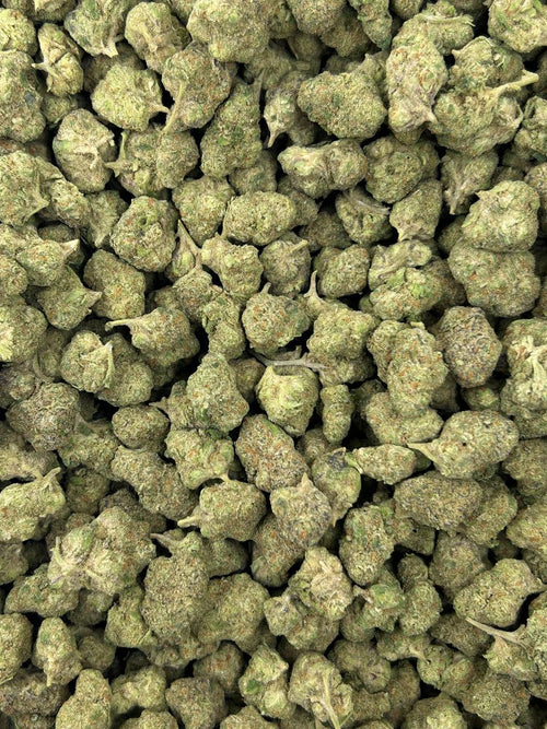 #B-ECS009 - Apple Pie SM (Hybrid)