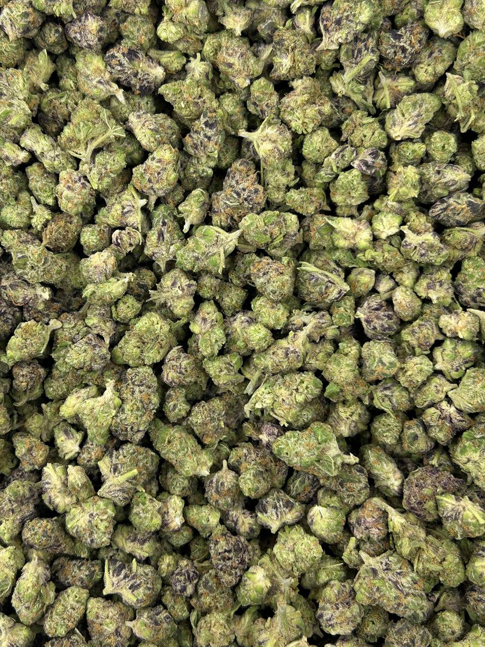 #B-ECS011 - Biscoff Cookie SM (Indica)