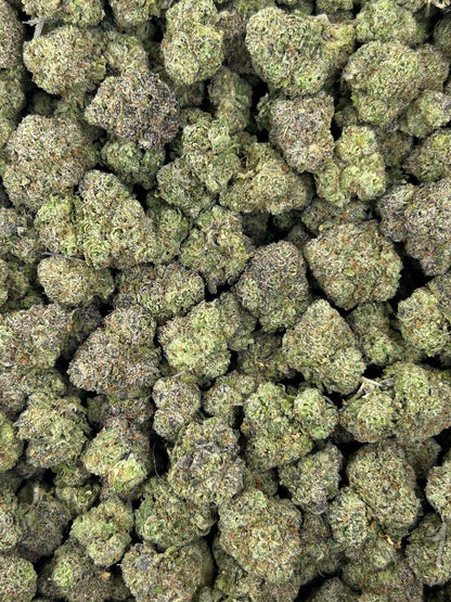 #N-CM1131 - Lemon Cherry Gush (Hybrid)