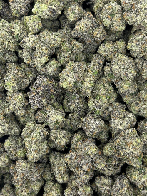 #N-LC081 - Blue Nerdz (Indica)