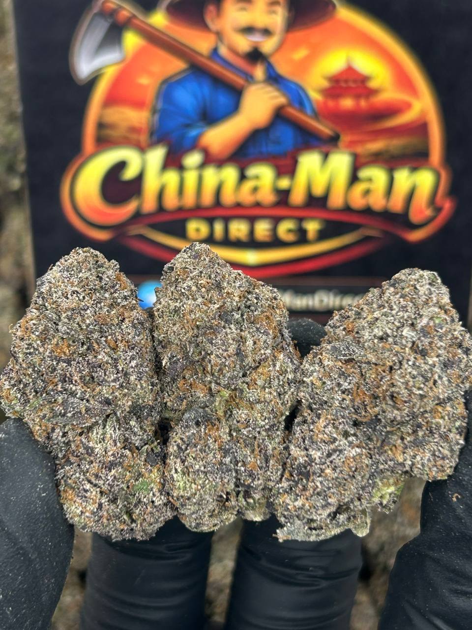 #N-CM1121 - Blue Cookiez (Hybrid)