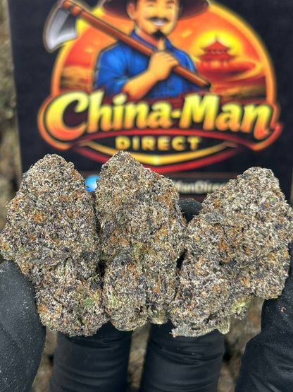 #N-CM1121 - Blue Cookiez (Hybrid)