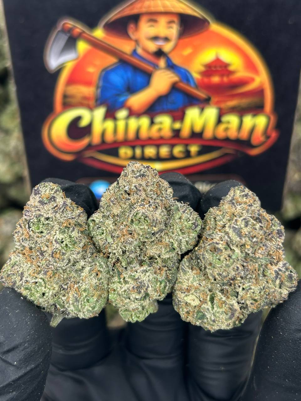 #N-CM1134 - Gelonadez (Indica)