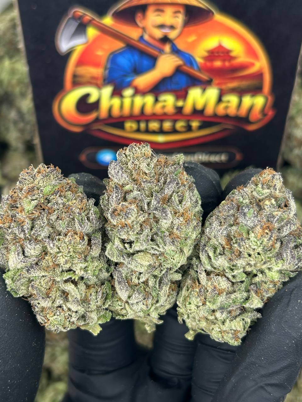 #N-EB243 - Ice Cream Cake (Sativa)