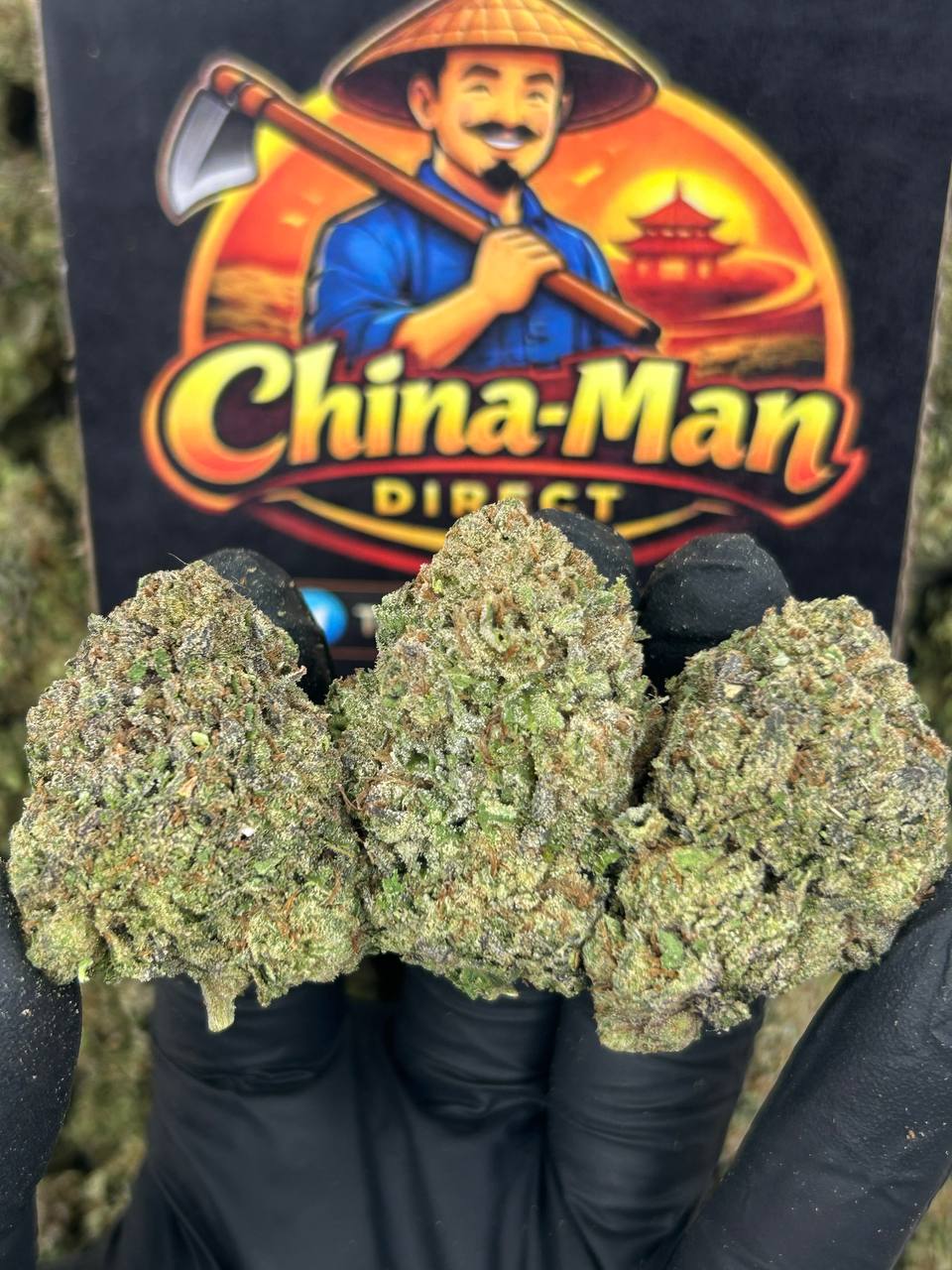 #N-EB244 - LCG 2.0 (Sativa)