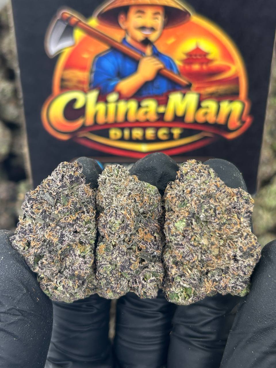 #N-CH342 - Lemon Cherry Icy (Hybrid)