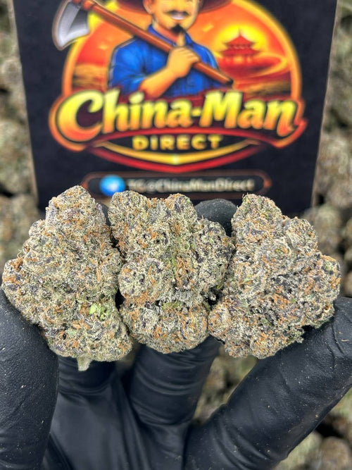 #N-CH343 - Sharklatto Runtz (Indica)