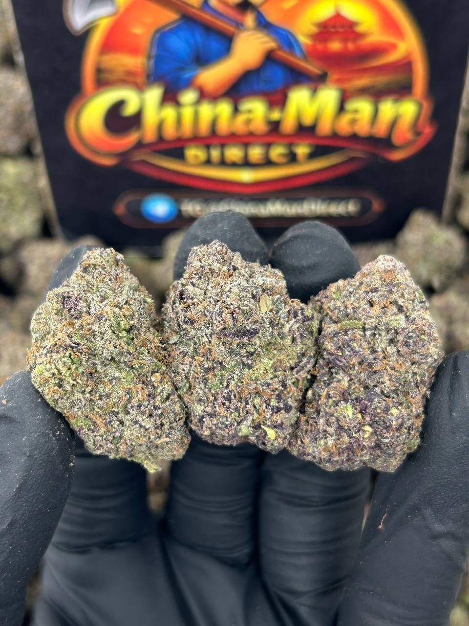 #N-CM1160 - Banana Split (Hybrid)