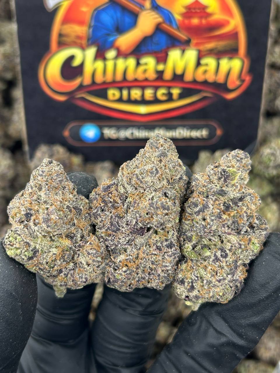 #N-CH349 - Cherry Garcia  (Indica)