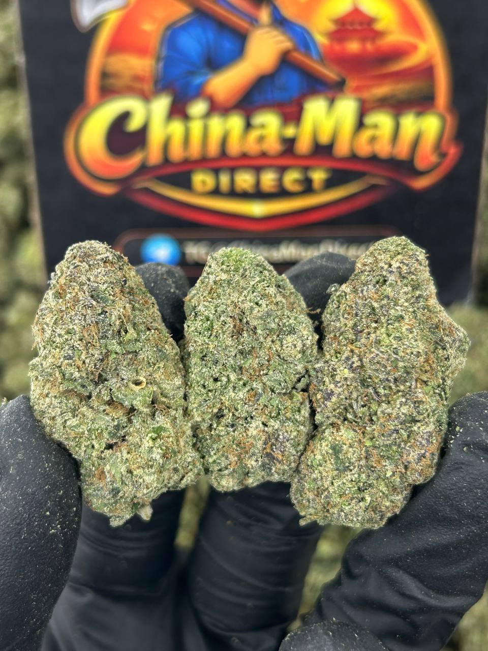 #N-EA742 - Balla Berriez (Indica)