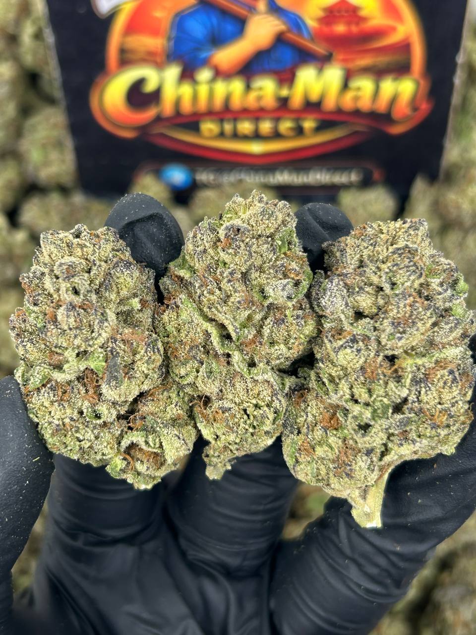 #N-EB328 - Jet Fuel  (Indica)
