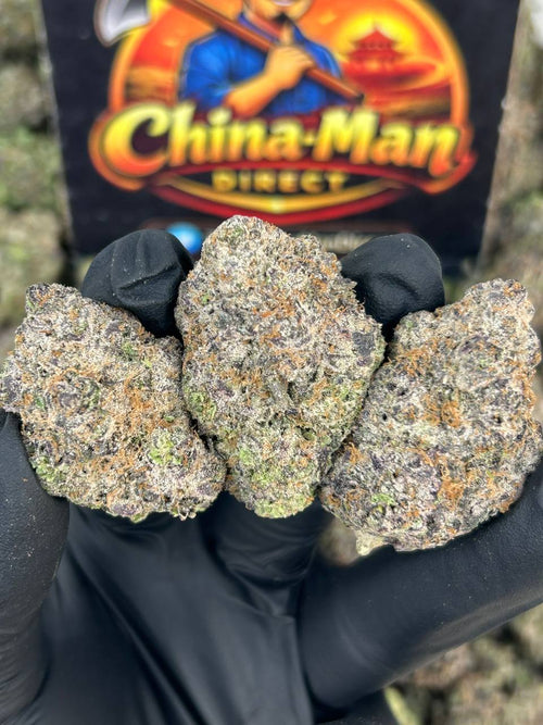 #N-CM1432 - Galaxy Gusherz (Hybrid)