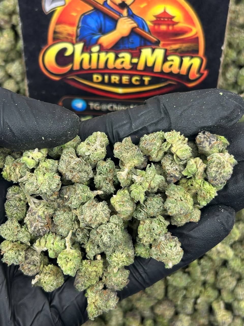 #N-ECS470 - Pressure Berries SM (Indica)