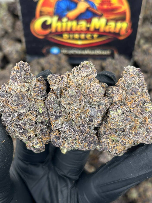 #N-CM1425 - Rainbow Sherbet (Hybrid)