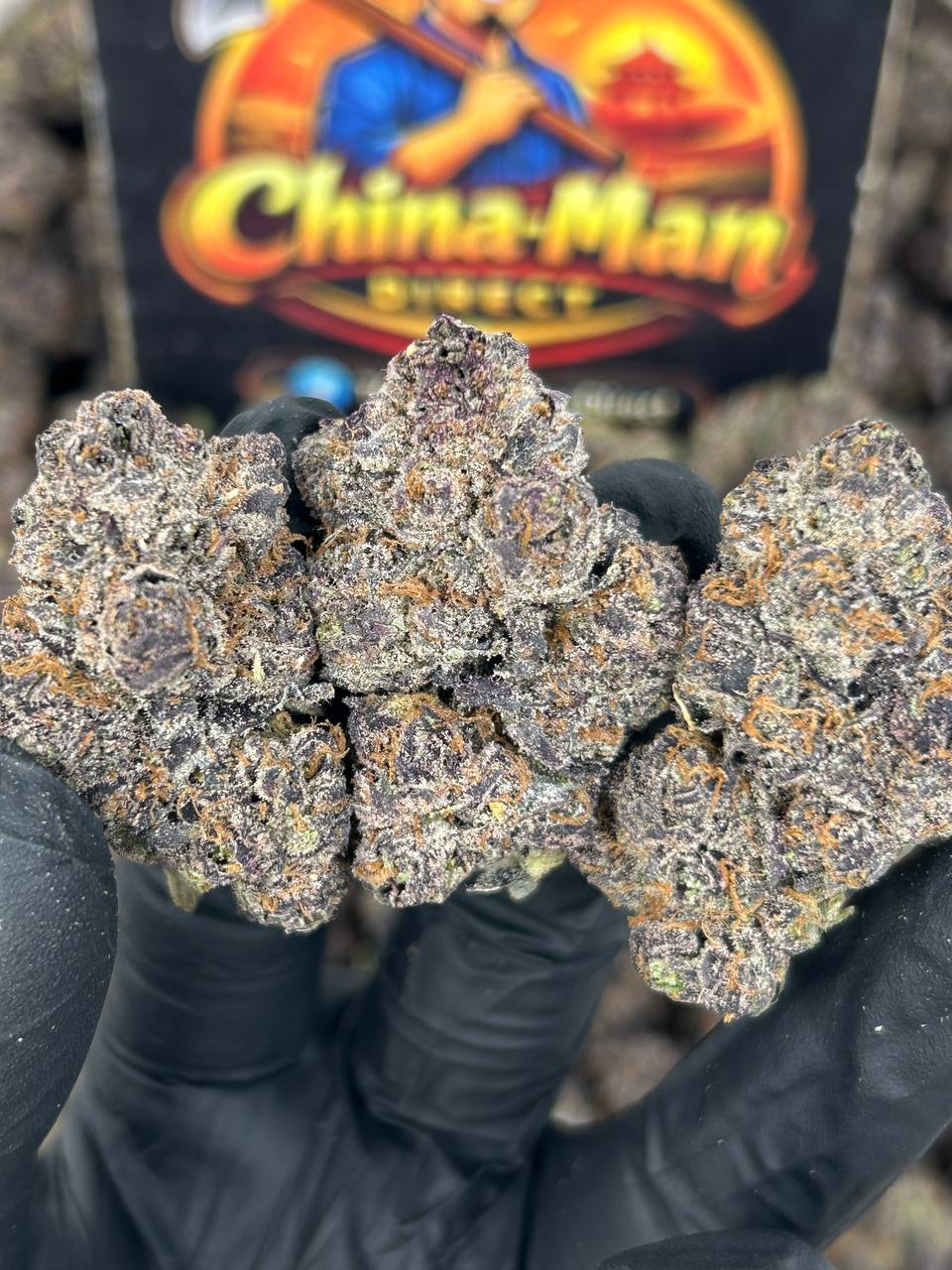 #N-CM1426 - Purple Slushie (Indica)