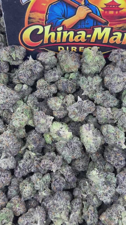 #N-EA837 - Berry Bubblegum Blitz (Hybrid)