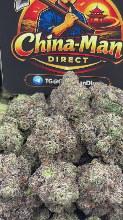 #B-LC042 - Skywalker (Indica)