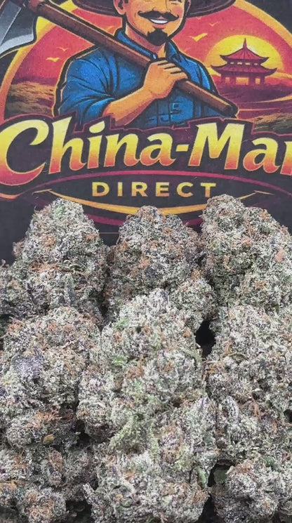 #IN196 - Imperial Citrus Throne (Hybrid)