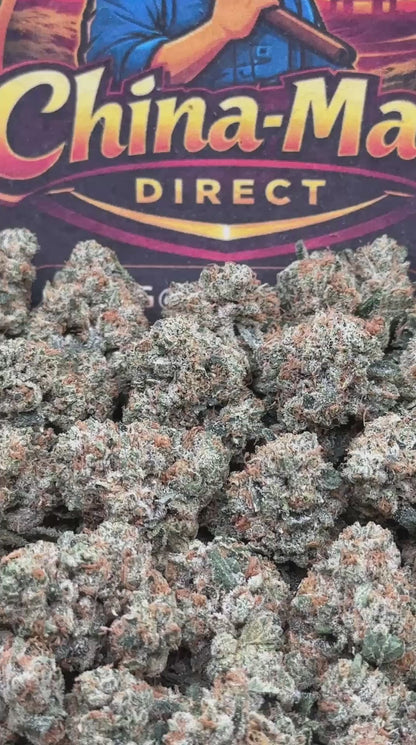 #KAM311 - Sweet Sherbet SM (Hybrid)