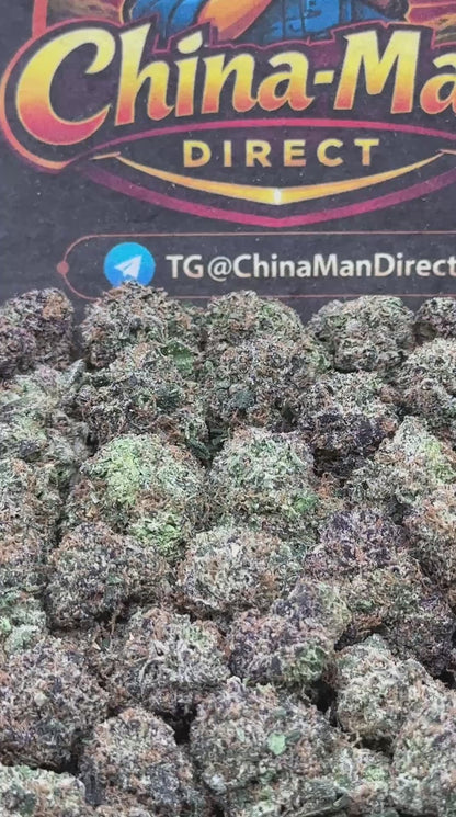#SS522 - Sweet Pineapple SM (Hybrid)