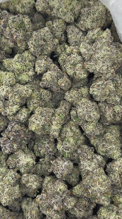#N-LC081 - Blue Nerdz (Indica)