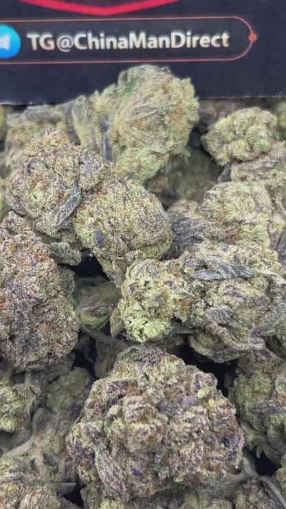 #B-EB023 - Purple Punch (Indica)