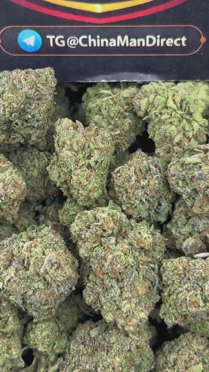 #N-EB252 - Grease Monkey (Indica)