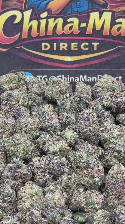 #SS535 - Berry Splash SM (Hybrid)