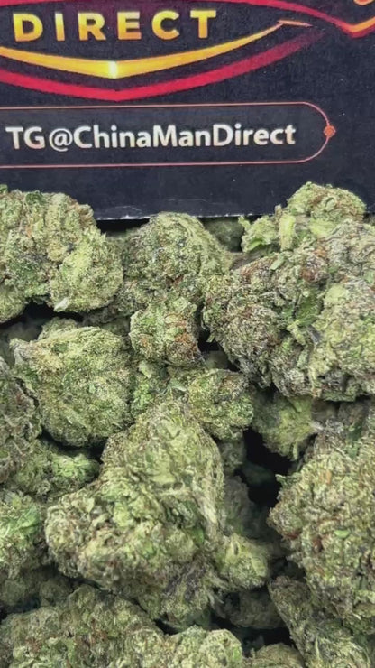 #B-EB020 - Candy Cherries (Hybrid)