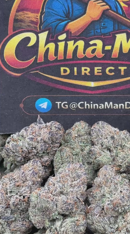 #EA366 - Black Cherry Royale (Hybrid)