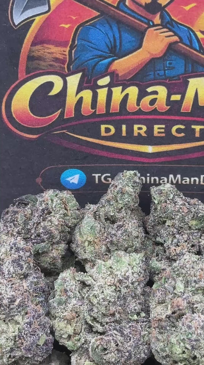 #EA370 - Scarlet Cherry Frost (Hybrid)