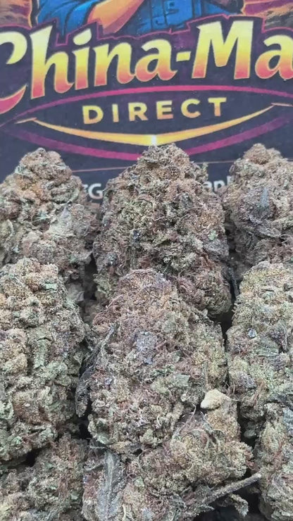 #FK057 - Midnight Grove (Hybrid)