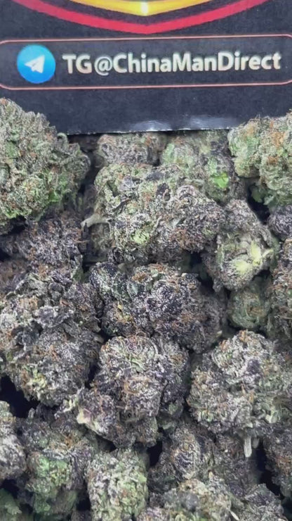 #N-CM1222 - Mochi Gelato (Hybrid)
