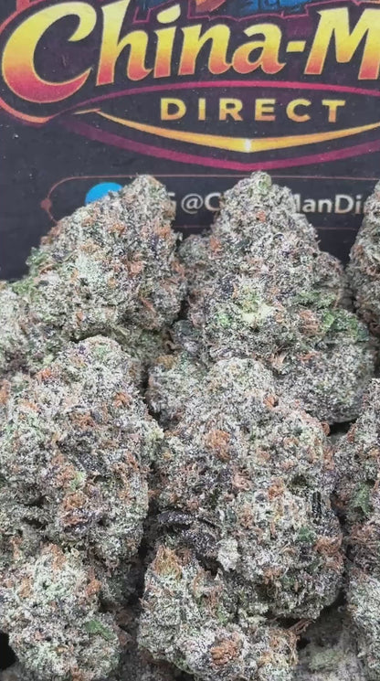 #IN601 - Golden Nectar (Hybrid)