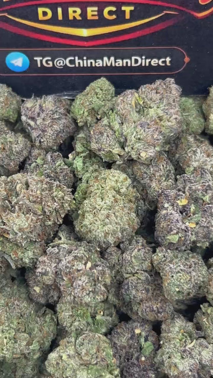 #N-CM1286 - Blueberry Mochi (Hybrid)