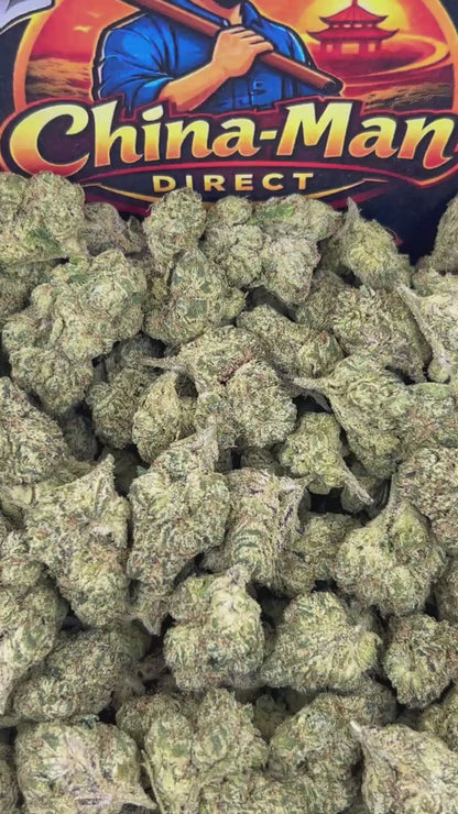 #B-EA021 - Ghost Gelato (Hybrid)