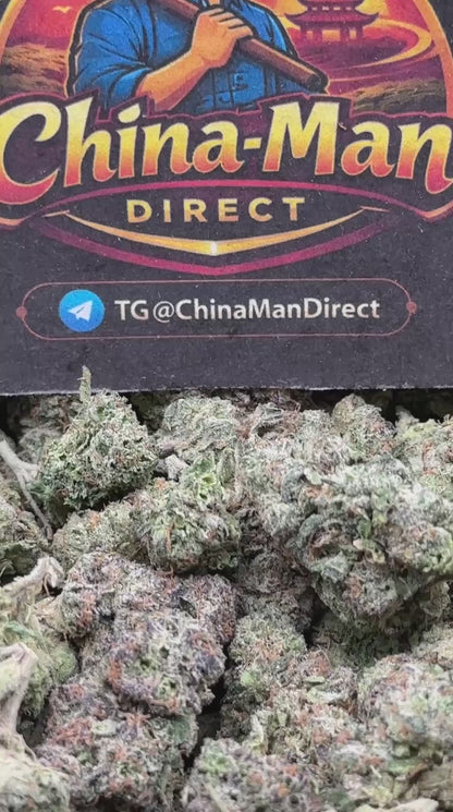 #EA585 - Tangie Mint (Hybrid)