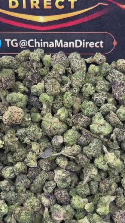 #N-ECS339 - Sunset Sherbet SM (Hybrid)